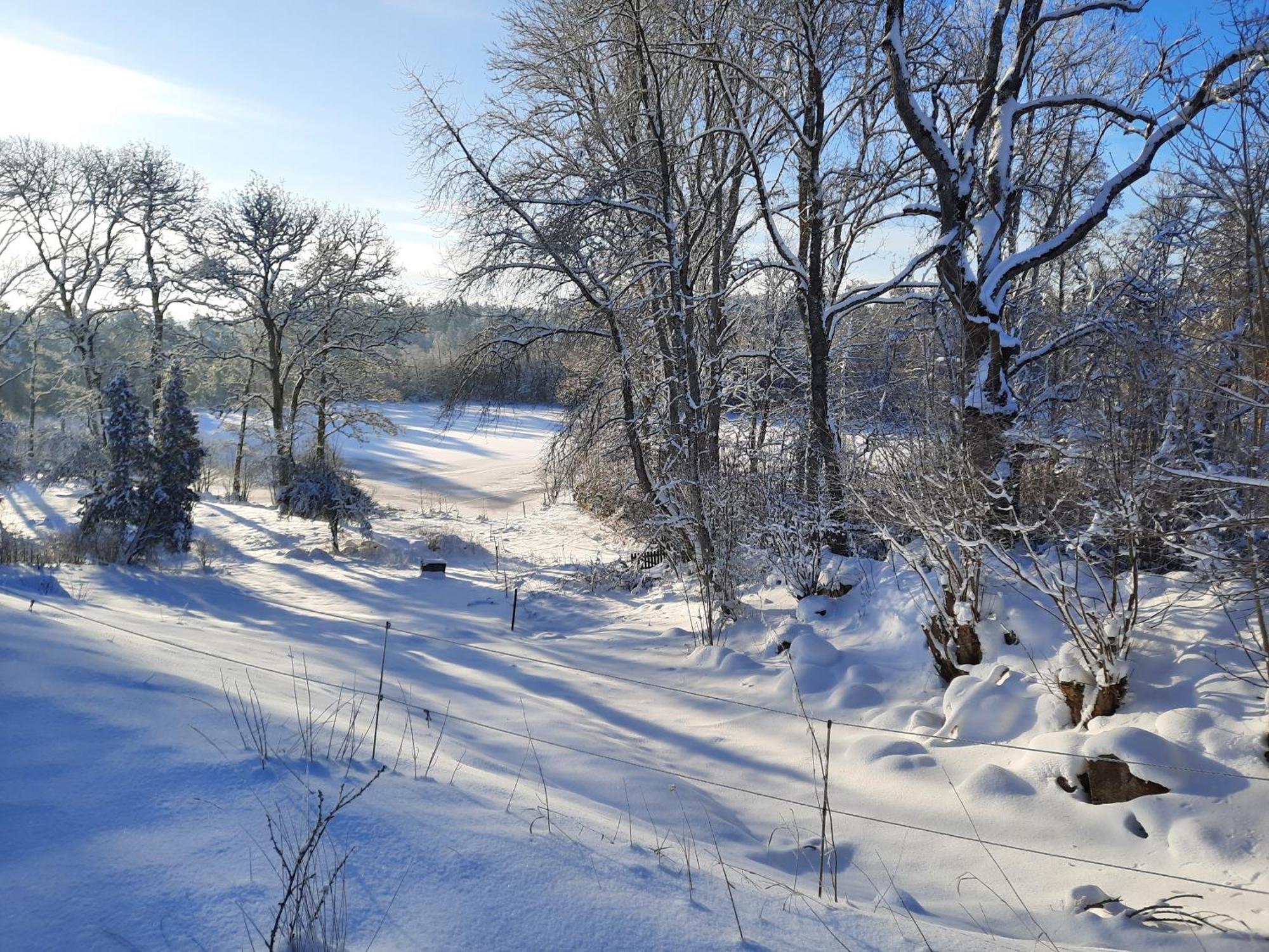 Sjoetorps Saeteris Bed & Breakfast Flygeln Larv Esterno foto